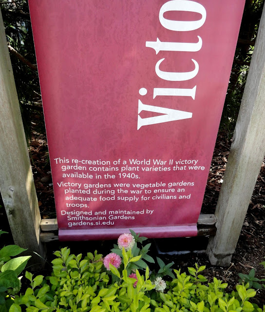danger garden: The Smithsonian Gardens: Heirloom Garden and Victory Garden