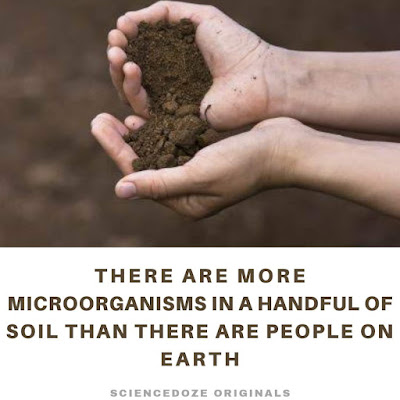 Soil facts