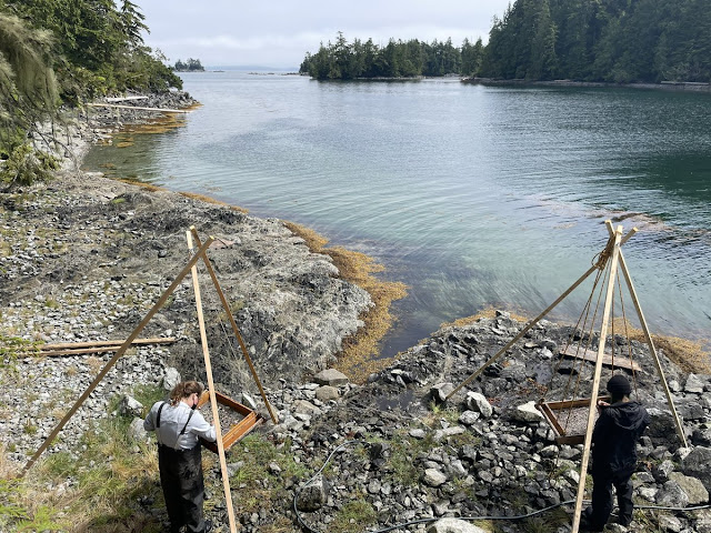 Humans managed shellfish and their predators for millennia in British Columbia