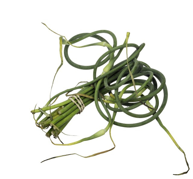 [Yummy]Pickled  garlic scapes|garlic scapes soup |Roasted garlic scapes-garlic scapes  season Sautéed garlic scapes,Pickled garlic scapes recipe, Garlic scape soup, How to store garlic scapes,Roasted garlic scapes, Garlic scapes UK, Garlic scapes season, Grilled garlic scapes