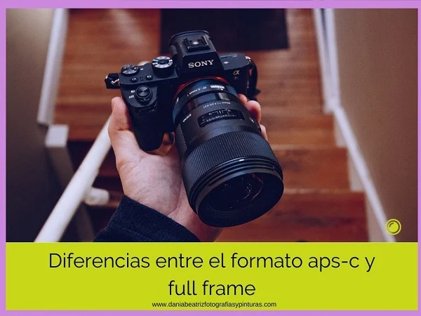 full-frame-vs-aps-c