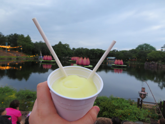 Frozen Minute Maid Lemonade Drinkwallah In Front of Rivers of Light Disney's Animal Kingdom