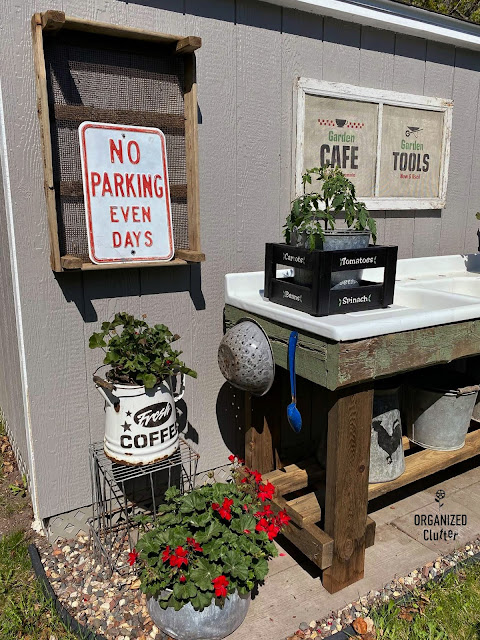 Photo of garden shed decorated with geraniums and garden junk