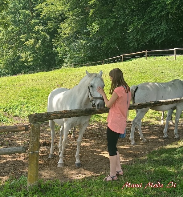 Lipizzanergestüt Piber - Lipizzaner Stud Farm Piber