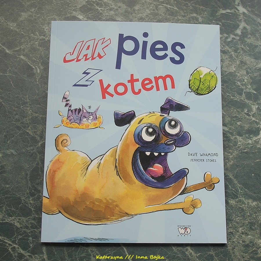 Komiks żyć Jak Pies Z Kotem Historyjka Obrazkowa "Jak pies z kotem. Jak kot z psem" - dwa punkty widzenia to podwójna
