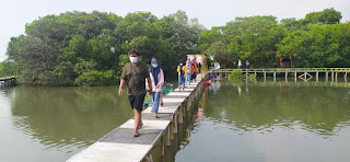 Wisata Hutan Mangrove di Jepara Banyak di Kunjungi Wisatawan 1 SAVE 20210522 184510