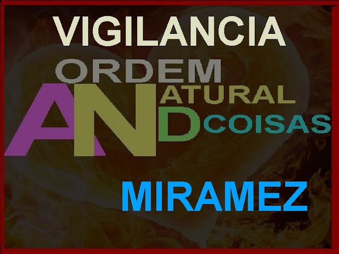 VIGILANCIA-MIRAMEZ