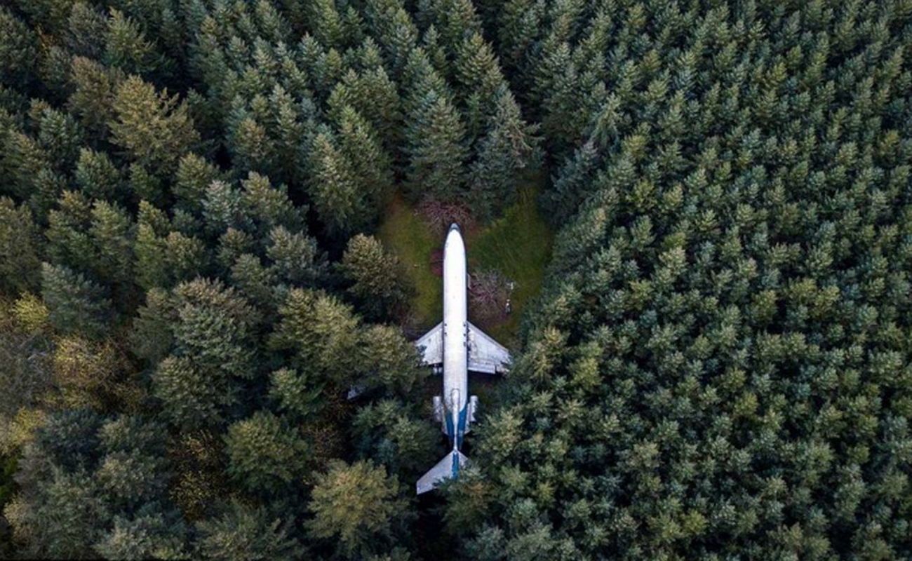 Самолет кидать. Брюс Кэмпбелл Boeing-727. Боинг 727 дом в лесу. Самолет в лесу. Заброшенный самолет в лесу.