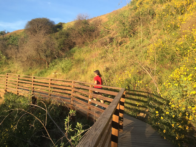 Running at Runyon Canyon 