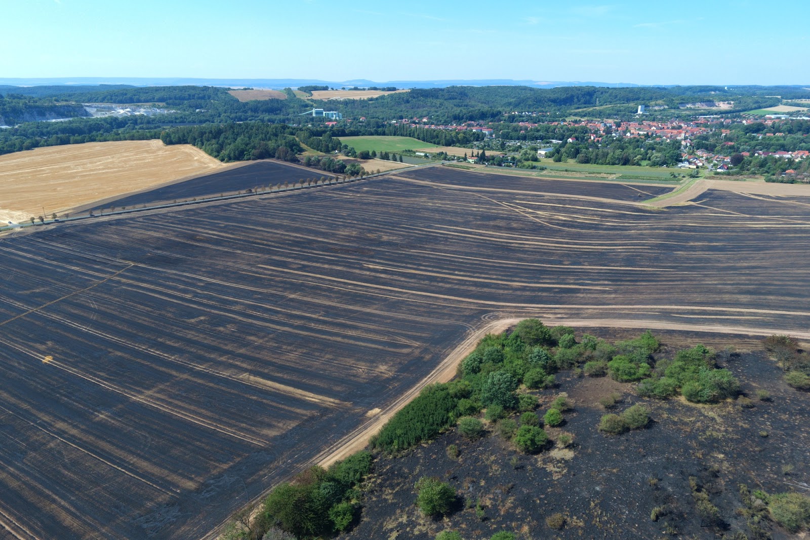 Bad Elster Naturtheater Programm