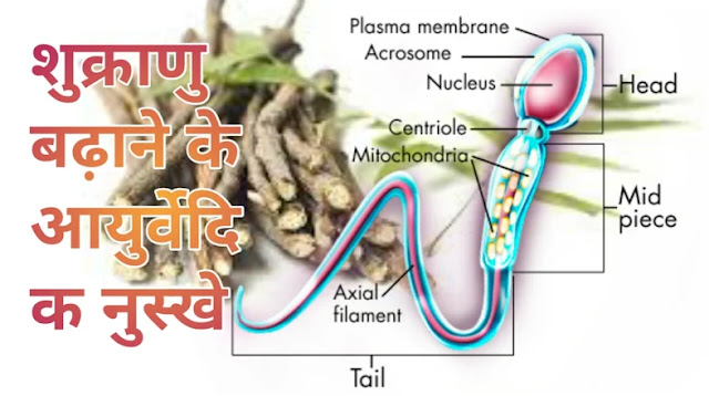 शुक्राणु बढ़ाने के उपाय,sukranu badhane ki dawa in hindi, sukranu