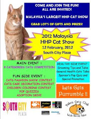 UP COMING CAT SHOW