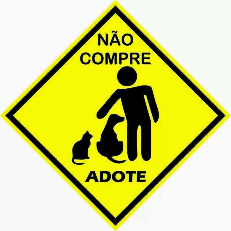 Adopte esta ideia