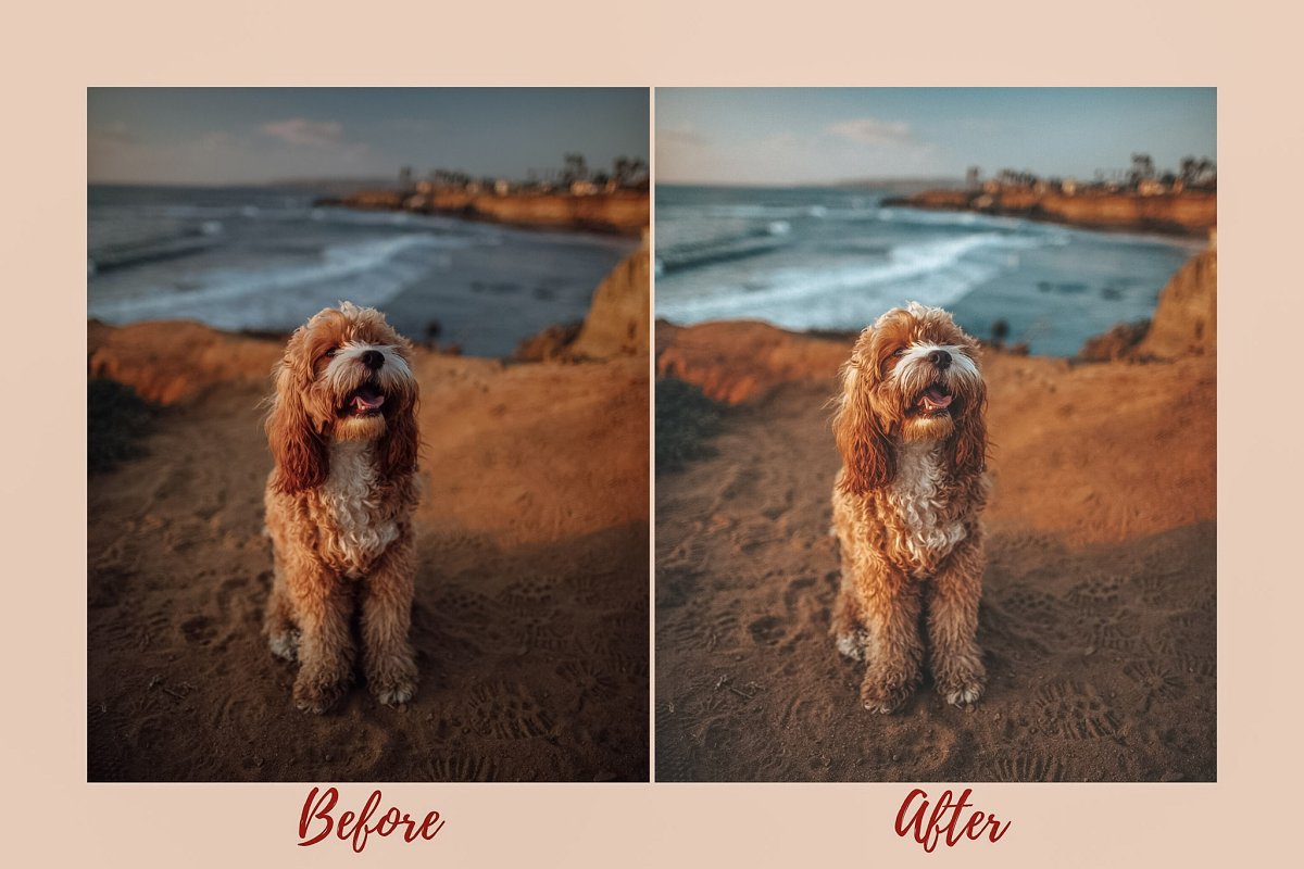 Mobile Lightroom Preset LOS ANGELES (DNG)