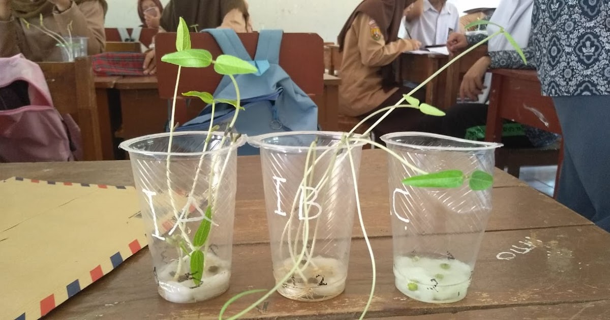 Faktor Air, Oksigen, pH, dan Kadar Garam Terhadap Pertumbuhan dan