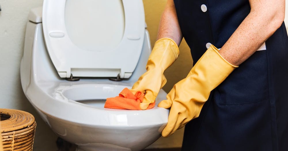 MR. SEB CLEAN 7 TOILET DISEASES AND INFECTIONS