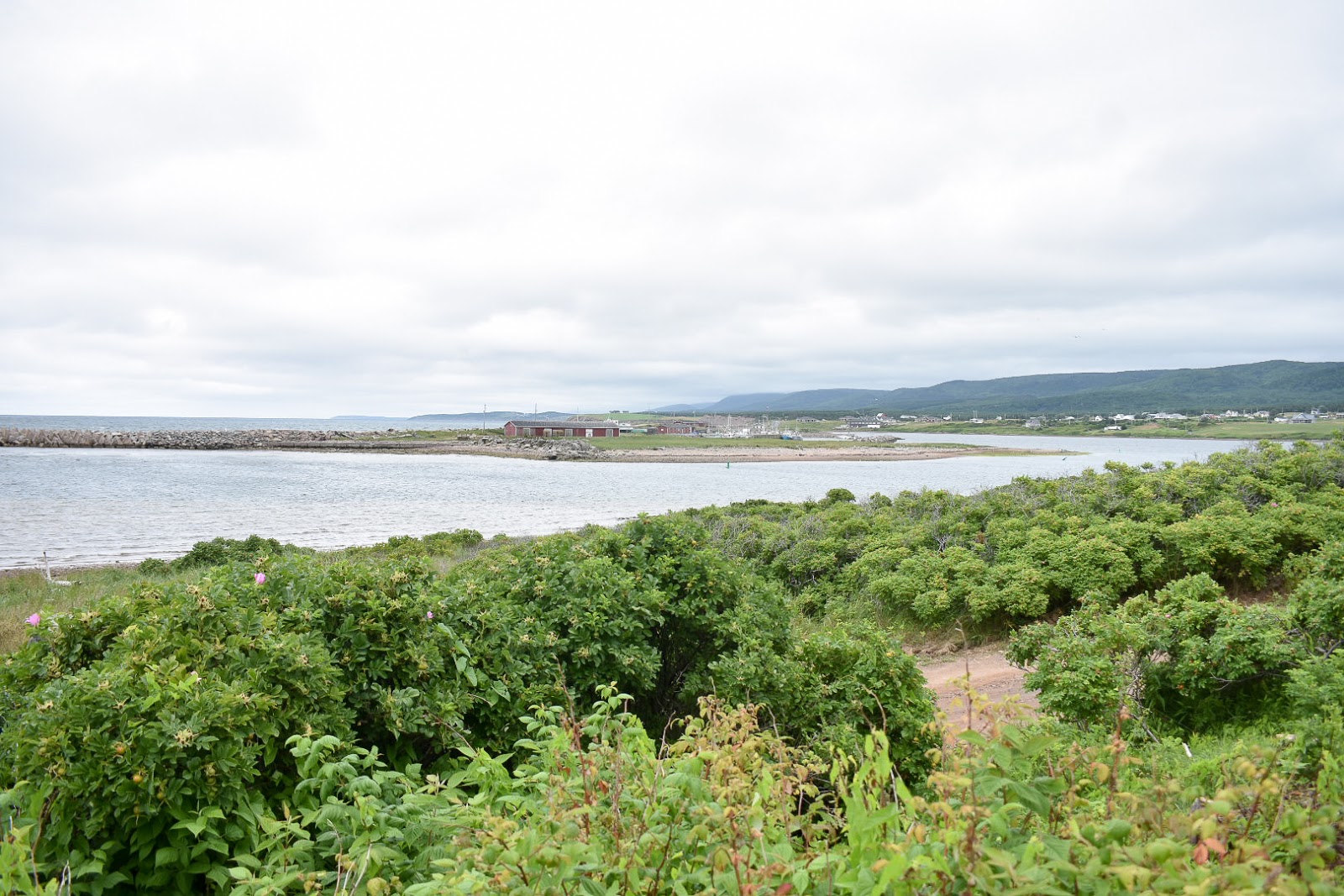 The Grower's Daughter a dream house in margaree harbour