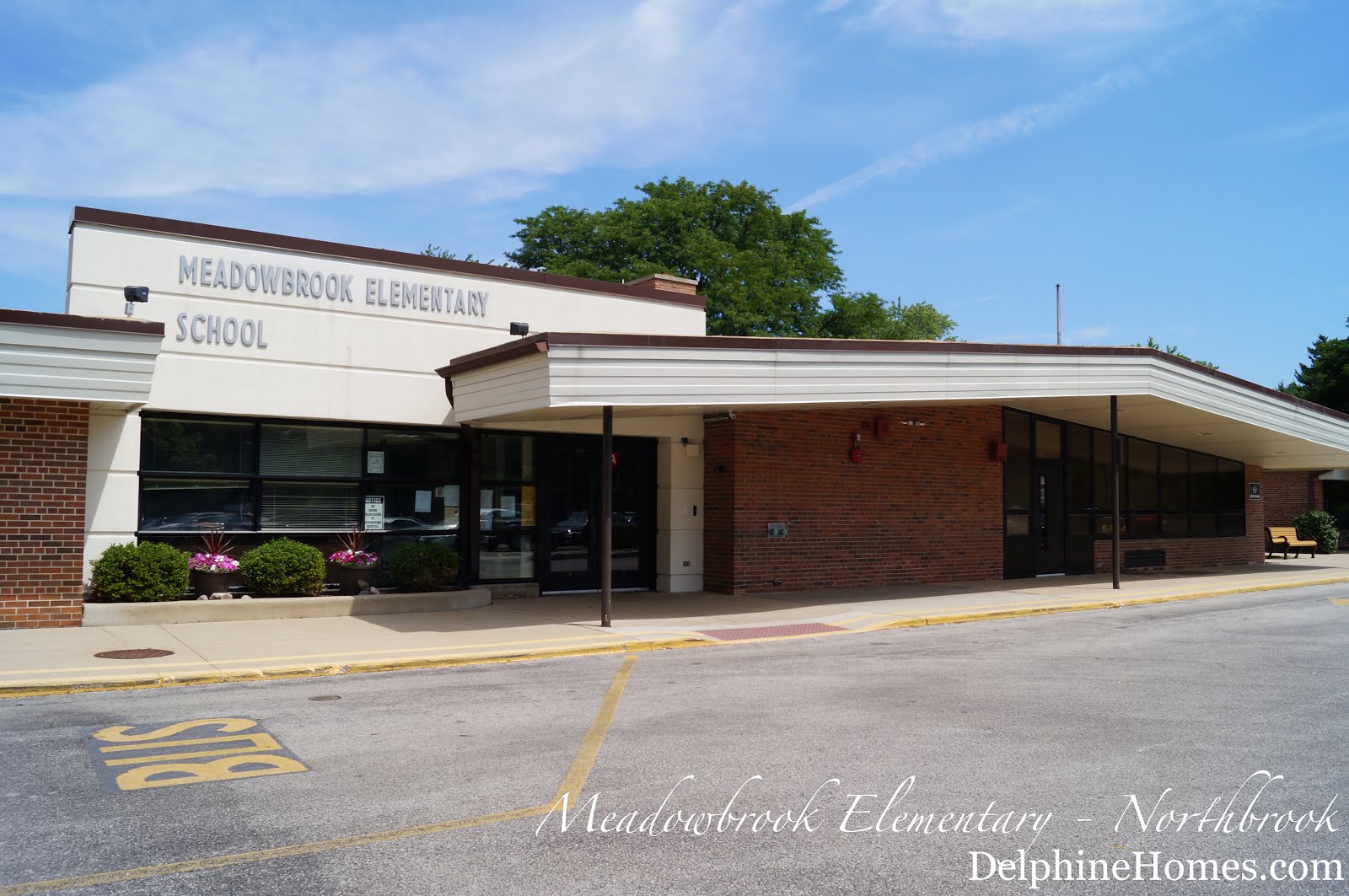 Delphine Homes Real Estate Northbrook's Schools