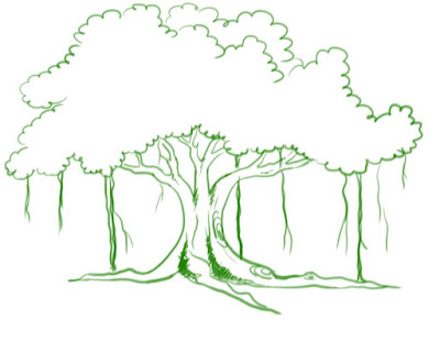 banyan-tree-drawing