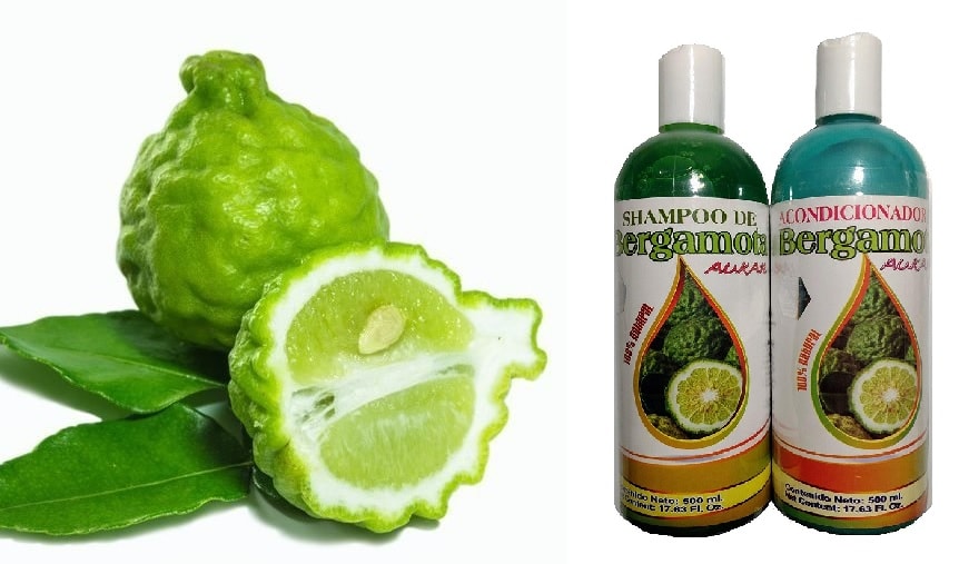 ¿Para qué sirve el shampoo de bergamota?