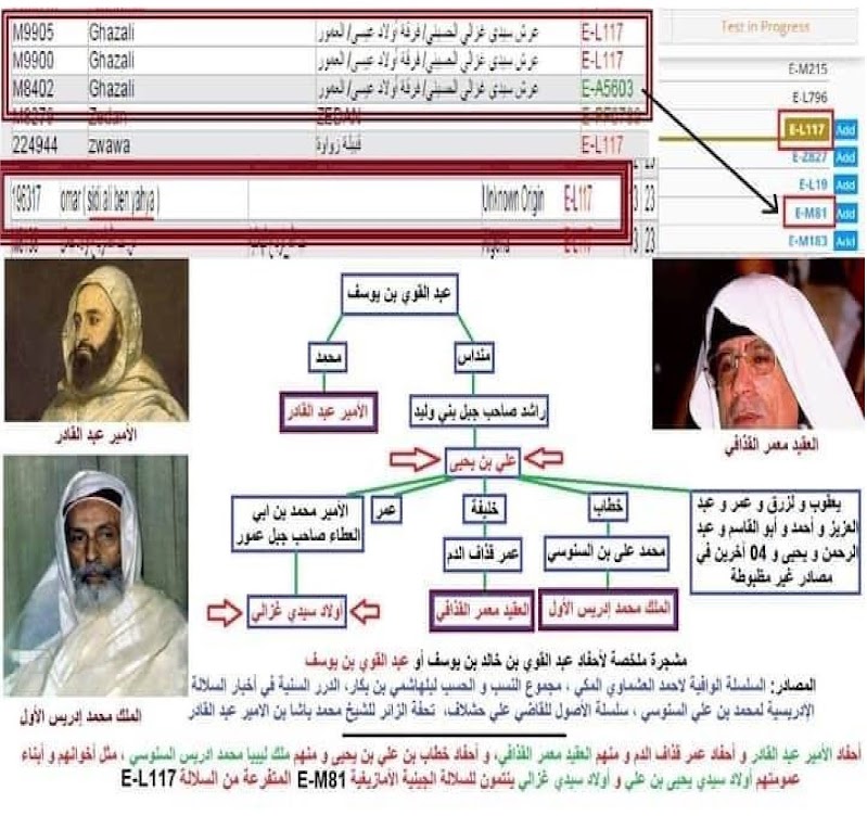 الامير عبد القادر الامازيغي تحقيق تاريخي الجزء -2 - %25D8%25A7%25D9%2585%25D9%258A%25D8%25B1%2B%25D8%25A7%25D8%25B5%25D9%2584%2B1122