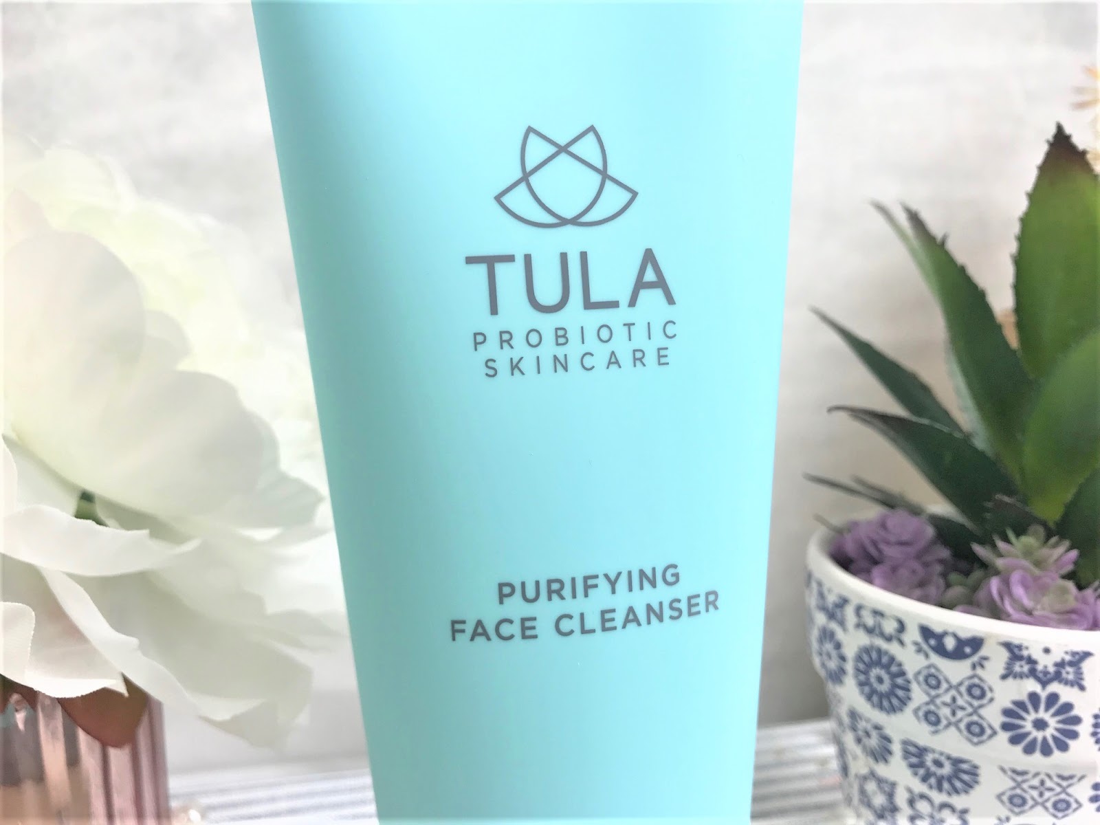 Tula Probiotic Skincare Purifying Face Cleanser Review Kathryn's Loves