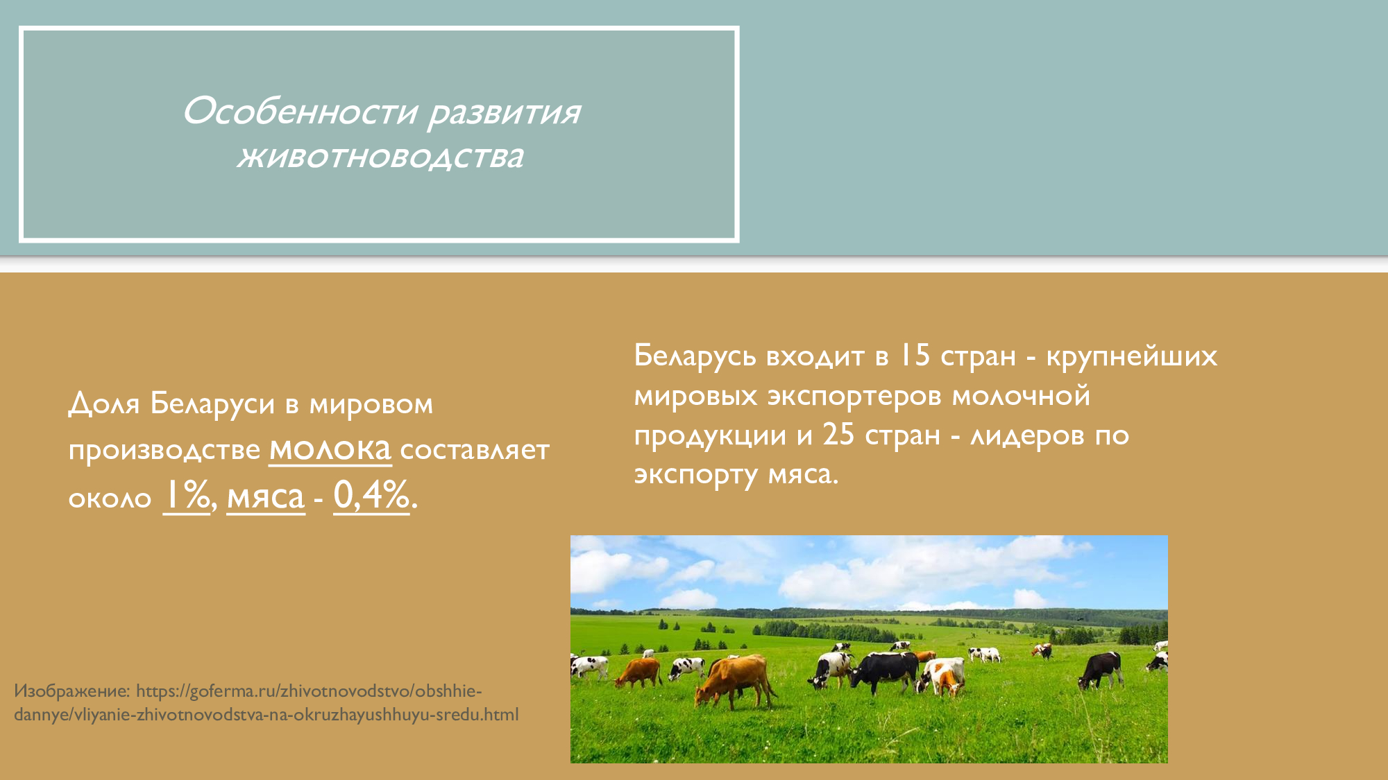 отрасли специализации сельского хозяйства северного кавказа. география животноводства россии. география животноводства беларуси. животноводство отрасли география. география животноводства россии.