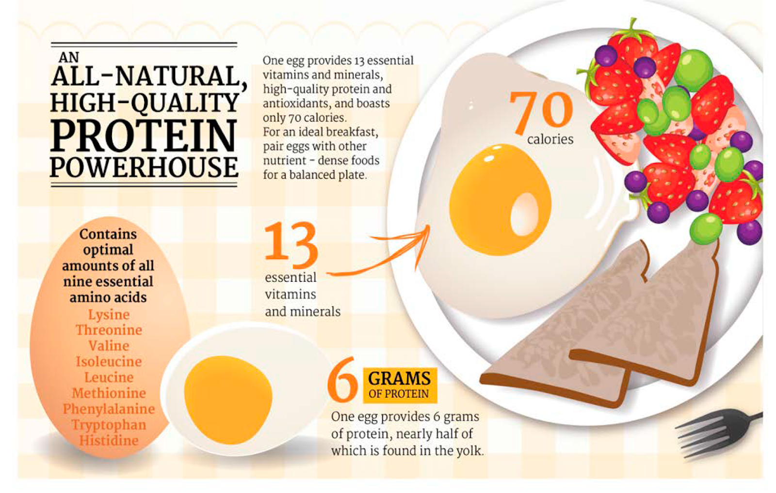 What is the Egg Diet?