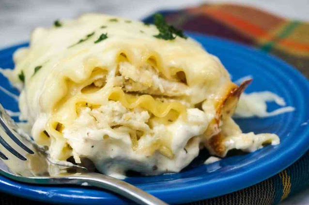 Chicken Alfredo Lasagna Rolls