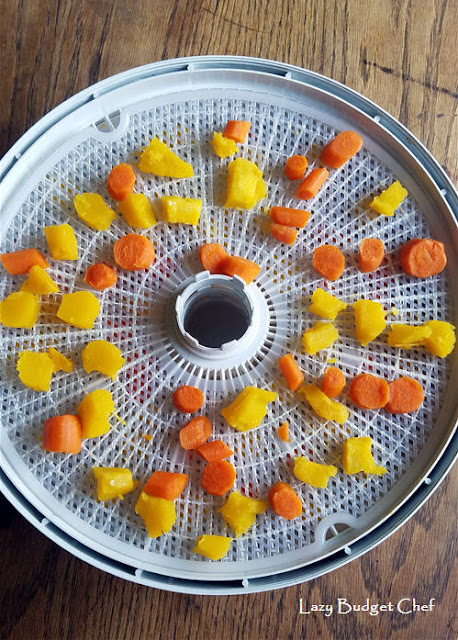 dried carrot and squash dog treats