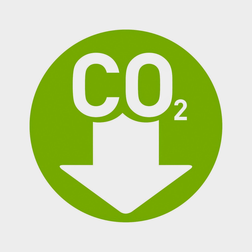 28 de enero - Día Mundial por la Reducción de las Emisiones de CO2