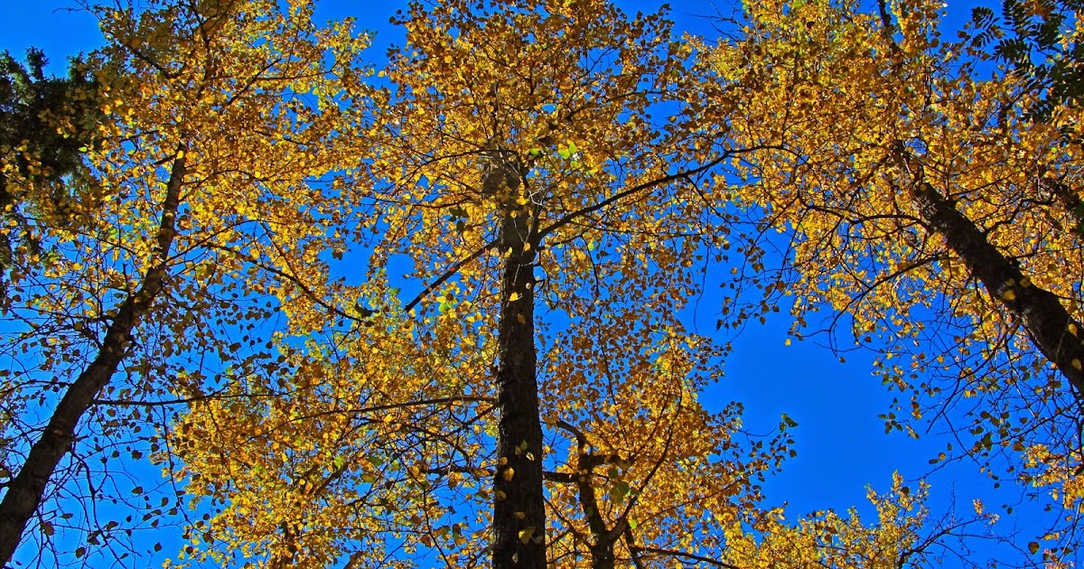 hiking store near me