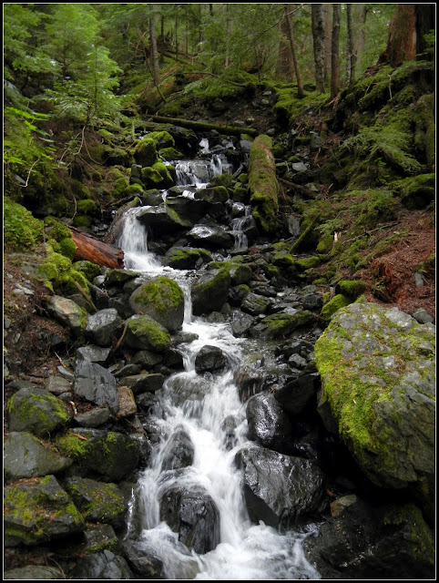 A waterfall in Garibaldi Provincial Park in British Columbia, Canada