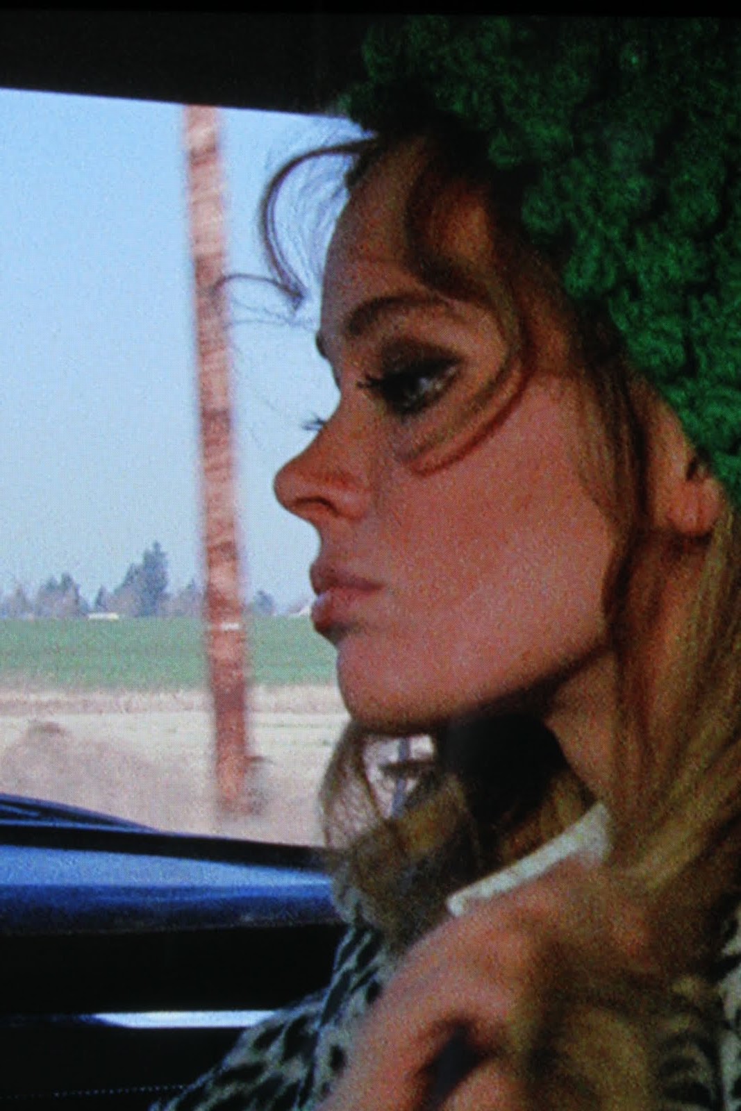 silvae: Bob Rafelson