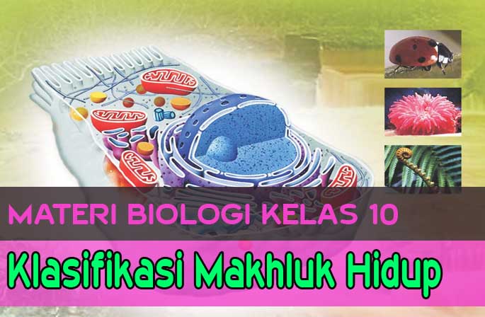 Materi Klasifikasi Makhluk Hidup ARTIKEL PENDIDIKAN