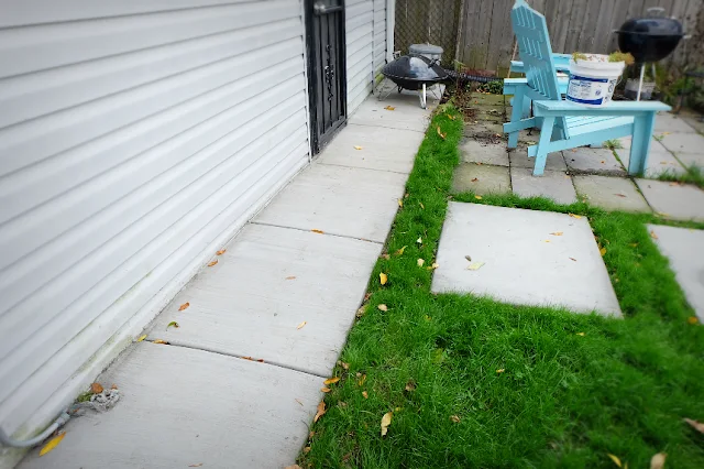 new concrete walk by back door