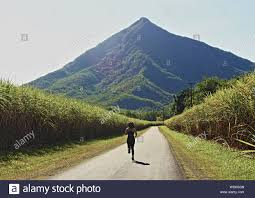 岩山「ピラミッド」(ケアンズの富士山) を直登