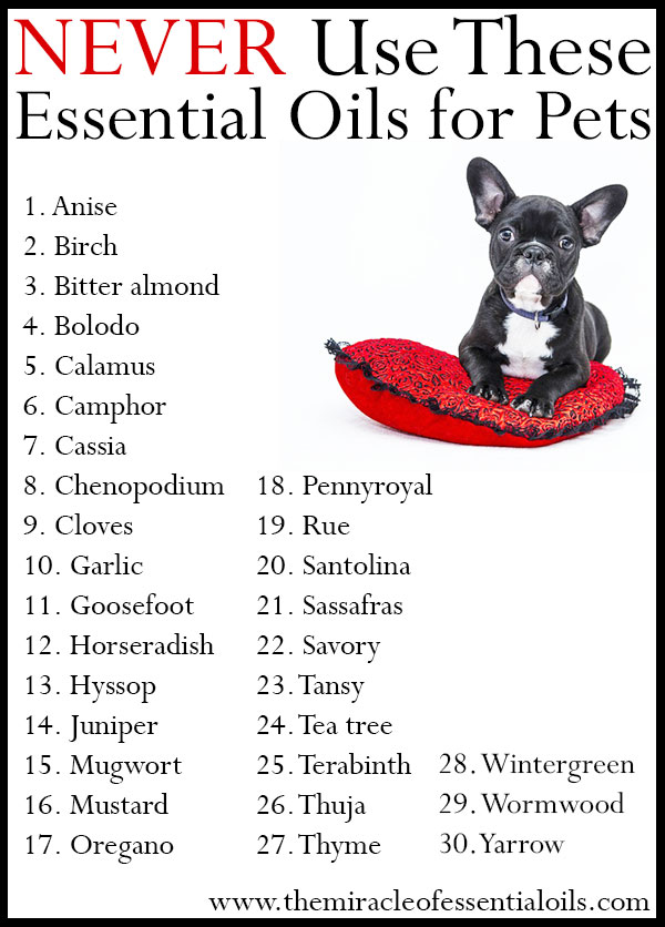 essential oils ok to diffuse around dogs