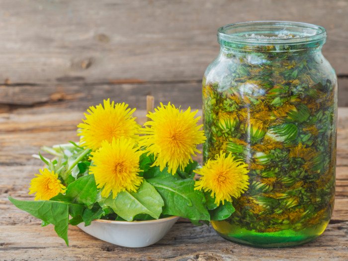 11 Health Benefits Of Dandelion, How To Eat & Side Effects THE