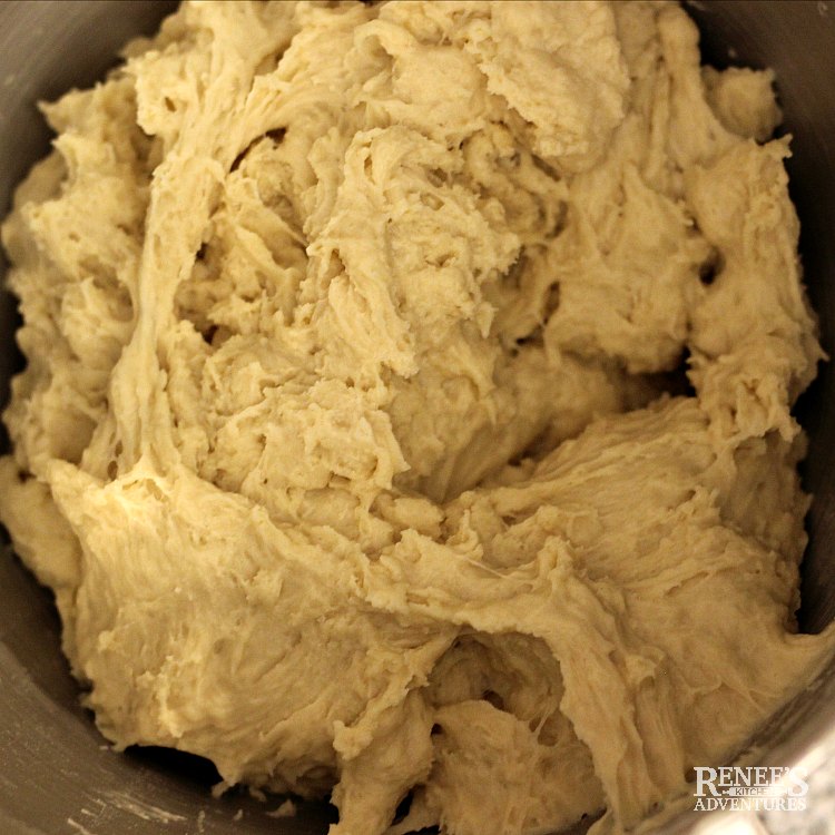 Overhead image of dough in bowl formed and ready to be kneaded for Apple Cinnamon Rolls with Maple Frosting by Renee's Kitchen Adventures