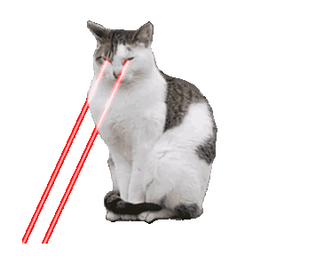 LINE Creators' Stickers - Cat Laser Beam Example with GIF Animation
