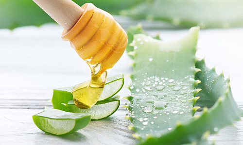 5 Recetas de cosméticos caseros con aloe vera 100% naturales