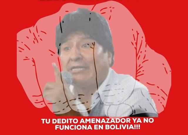 “Dedazo del jefazo”: Evo y Arce  Catacora, los grandes perdedores de las subnacionales