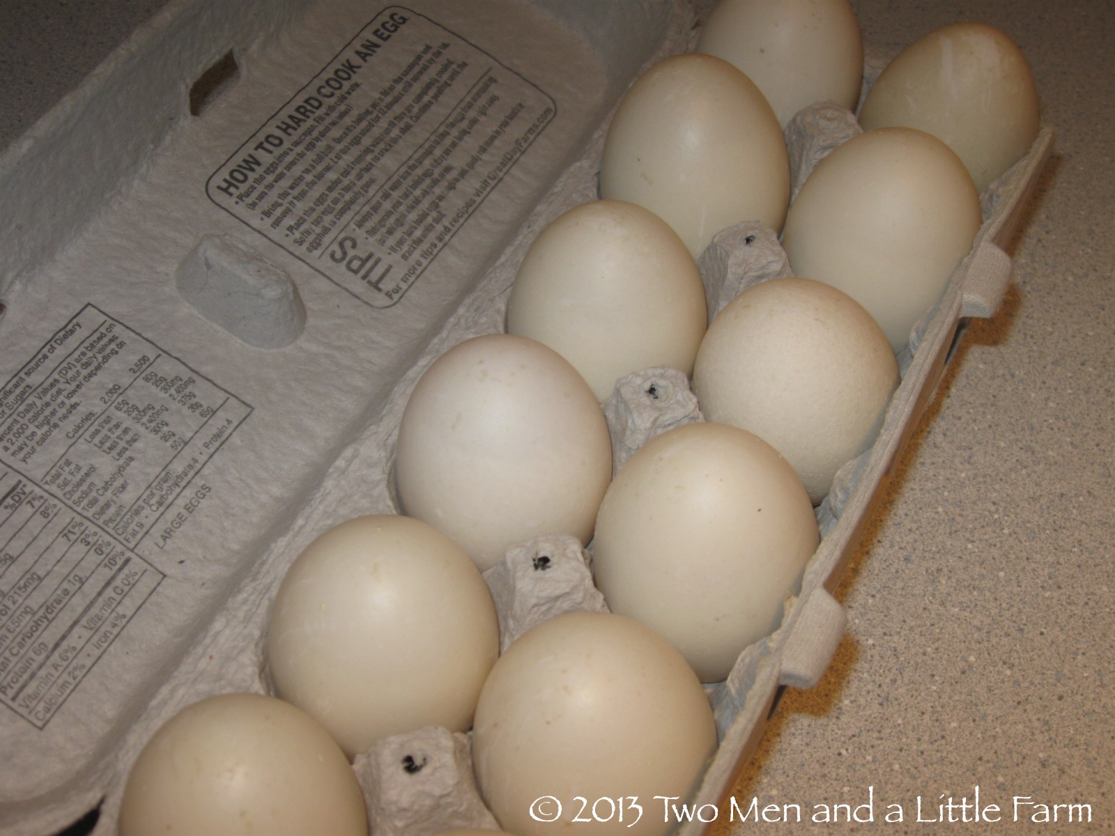 Two Men and a Little Farm A DOZEN DUCK EGGS