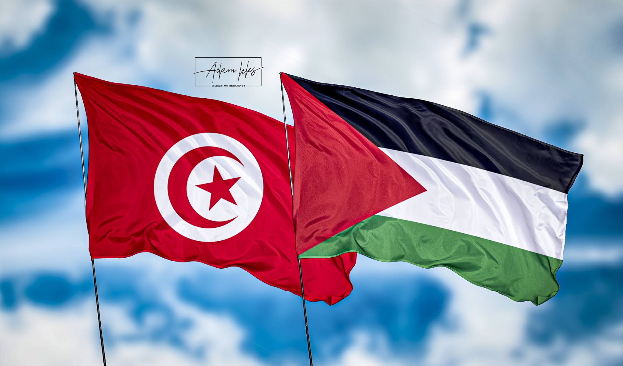 خلفيات تونس وفلسطين خلفيات تونس وفلسطين اجمل خلفيات اعلام تونس وفلسطين ترفرف في السماء