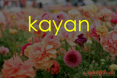 أسرار معنى اسم كيان في اللغة العربية والمعجم وحكم الدين الإسلامي فيه موقع مصري