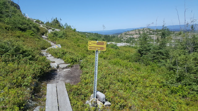 Le sentier de la Montagne Blanche juste avant le sommet