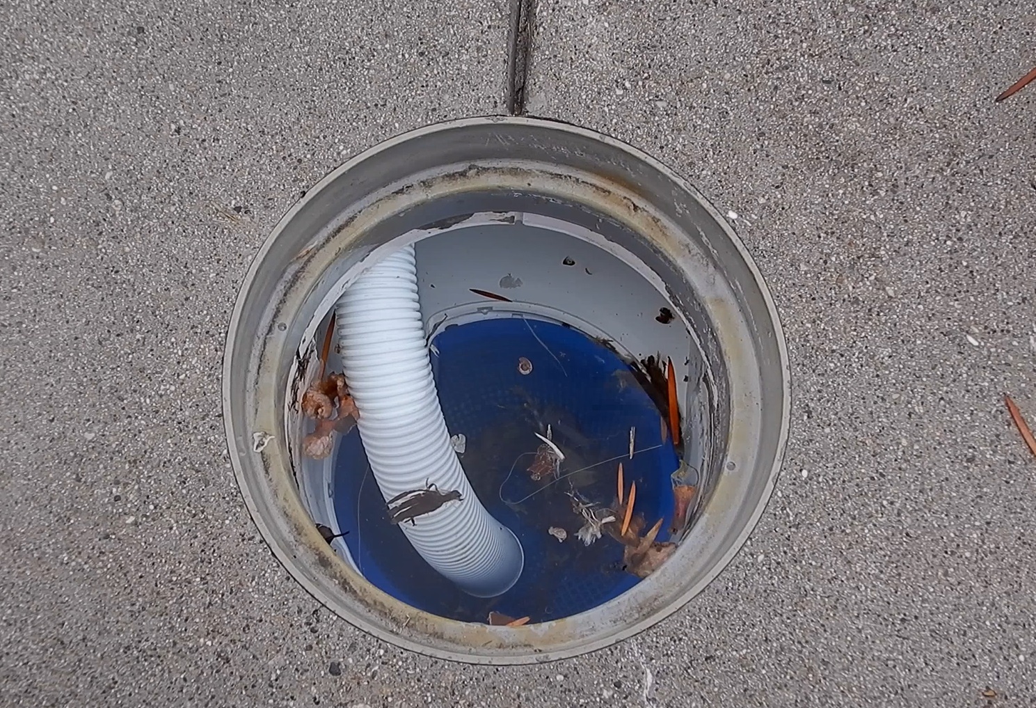 Swimming Pool Tips and Reviews Prevent Your Pump From Getting clogged