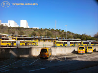 transportes online