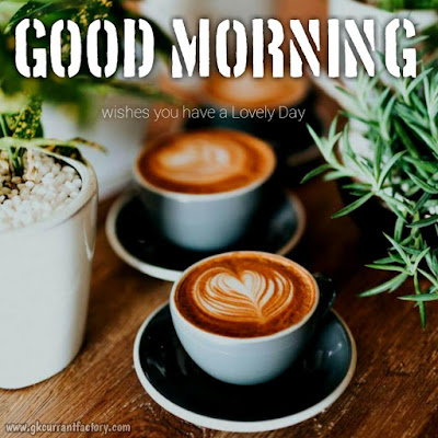 Beautiful Good Morning Coffee Images, Pics With Love Free Download Good Morning Coffee Images, Good Morning Coffee Pic, Good Morning Images Of coffee, Good Morning Images Coffee, Good Morning coffee Love, Good Morning Images With Hot Coffee Free Download
